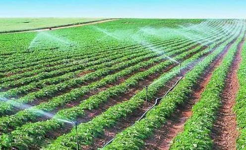 男人鸡巴日逼视频农田高 效节水灌溉
